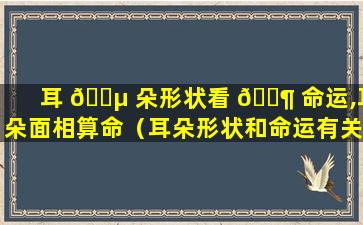 耳 🌵 朵形状看 🐶 命运,耳朵面相算命（耳朵形状和命运有关系）